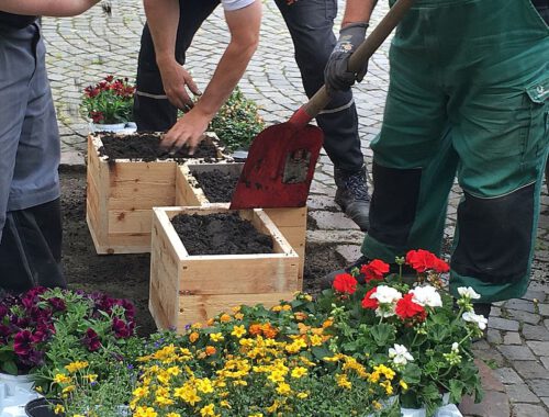 Pflanzkästen im Goethequartier und in der Hafenstraße