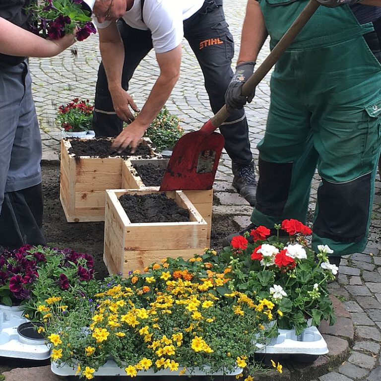 Pflanzkästen im Goethequartier und in der Hafenstraße